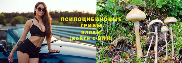 стафф Аркадак