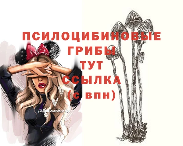 PSILOCYBIN Алексин