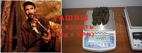 сатива Алзамай