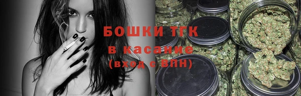 гашик Алексеевка